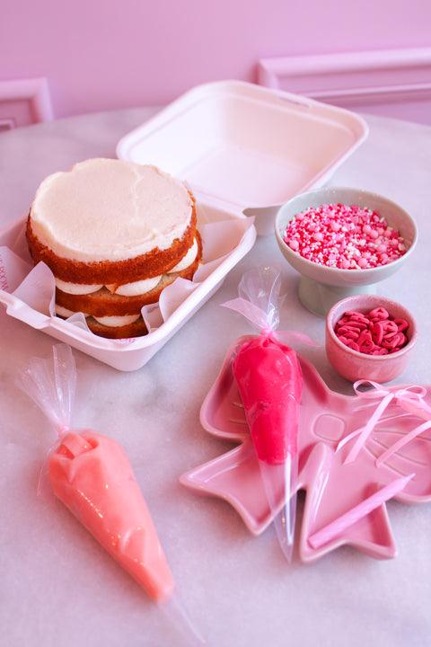 Bento cake versieren DIY, versier zelf je cake met deze unieke box inclusief spuitzakjes.