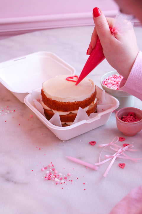 Bento Cake DIY Kit